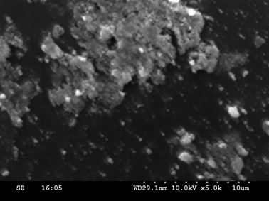 
          SEM image of the spent copper exchanged INDION-770 resin catalyst (after the 2nd recycle).