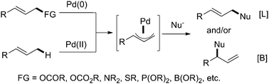 Traditional Tsuji–Trost alkylationversus direct allylic C–H activation.