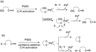 Two general pathways of Pd-catalyzed common sp3 C–H activation.