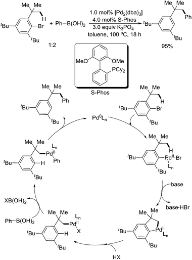 
              Pd(0)-catalyzed sequential sp3 C–H activation/Suzuki–Miyaura cross-coupling reaction.45