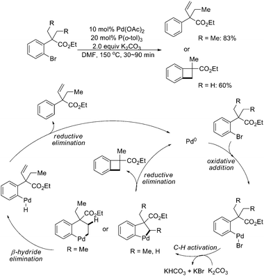 
              Pd(0)-catalyzed selective intramolecular sp3 C–H activation of gem-dialkyl groups.50