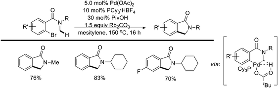 
              Pd(0)-catalyzed intramolecular sp3 C–H activation of N-methylamides.57