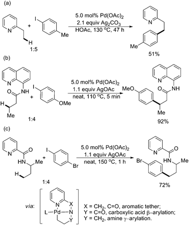 
              Pd(ii)-catalyzed arylation of sp3 C–H bonds with chelating pyridine directing groups and aryl iodides.29,58