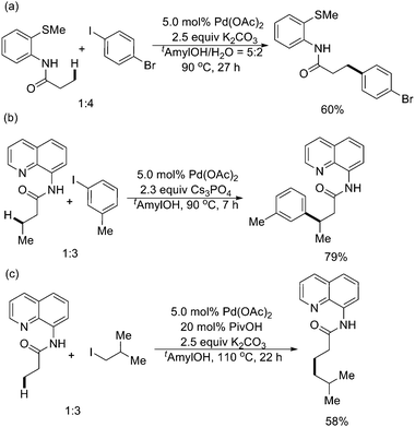 
              Pd(ii)-catalyzed auxiliary-directed arylation and alkylation of sp3 C–H bonds with aryl iodides and alkyl iodides.60