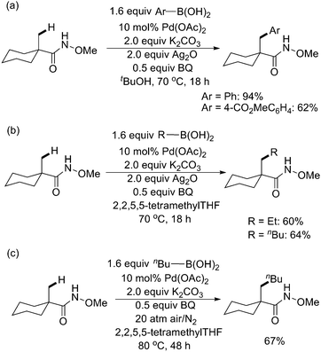 
              Pd(ii)-catalyzed O-methyl hydroxamic acid-directed arylation and alkylation of sp3 C–H bonds with boronic acids.64