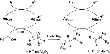 Proposed mechanism for direct amidation of amines by alcohols. Reproduced with permission from Wiley-VCH of ref. 57.