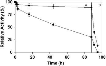 Immobilization profile of CAL-B expressed in P. pastoris versusCAL-B from Novozymes. CAL-B expressed in P. pastoris (squares), CAL-B from Novozymes (circles). Part A: immobilization at pH 7. Part B: incubation the previous preparation at pH 10.