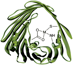 Schematic of an active site within a metalloenzyme.