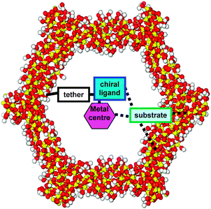 Substrate interactions that govern selectivity when a transition-metal complex is covalently anchored within a mesopore.