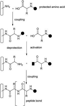 SPPS method of covalently attaching amino acids to silica.