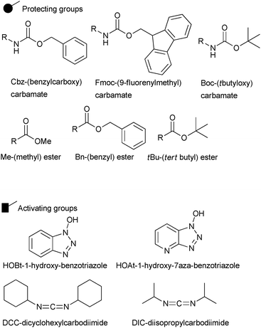 Common activating and protecting groups used in SPPS.