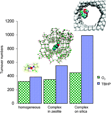 Improvements in TON's for benzyl alcohol oxidation on immobilisation of Fe3+–proline complex in zeolite X and further enhancements on covalent attachment to mesoporous silica.