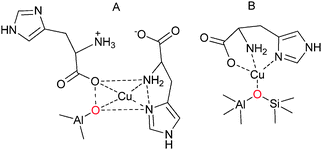 A combination of XRF, UV/Vis/NIR, ESR, EXAFS and XANES, IR and Raman spectroscopy is used to elucidate the composition of Cu–histidine complex encapsulated within zeolite Y.60 Based on one form of a proposed structure by Baute et al.154 (A) a refined complex is determined as one histidine ligand coordinating in a tridentate facial-like manner and the fourth position occupied by a framework oxygen atom from a Brønsted acid site (in red) (B).