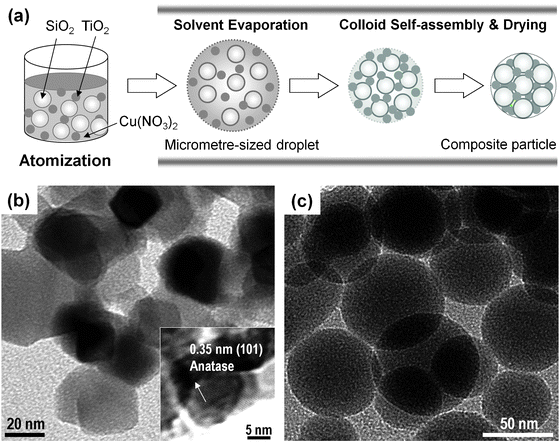 
            Cu–TiO2–SiO2 composite particle formation. (a) Possible formation mechanism, and TEM images of (b) TiO2 and (c) SiO2 nanocolloids.