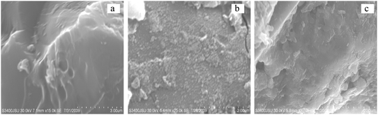 
            SEM images of original zeolite (a), TiO2–zeolite surface (b) and its cross-section (c).