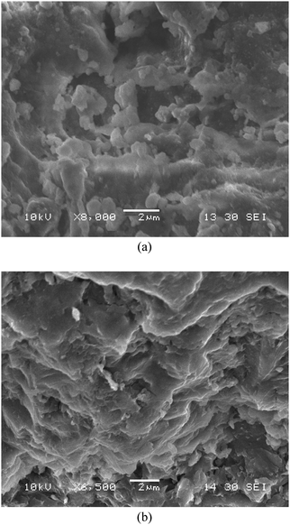 
            SEM images of samples. (a) fly ash; (b) TiO2/fly ash −500 °C.