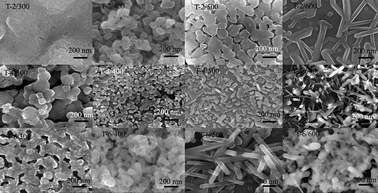 
          SEM images of T-2, T-4 and T-6 annealed at 300, 400, 500 and 600 °C, respectively.