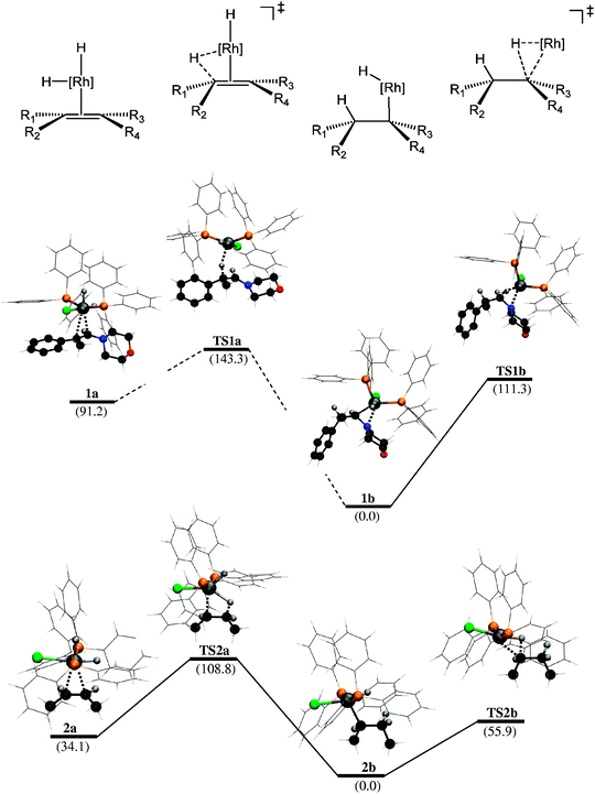 Salient stationary points involved in the Rh-catalysed olefin hydrogenation; generic scheme with a Rh–dihydride fragment (top), optimised structures involving (phenylpropenyl)­morpholine (middle) and 2-butene (bottom) with the Rh(PPh3)2Cl(H)2 model catalyst, together with relative energies [kJ mol−1] computed at the B97-D/ECP2 level of DFT. Peripheral H atoms and phenyl groups shown as wireframe for clarity; C, H, N, O, P and Cl atoms are rendered in black, white, blue, red, orange and green, respectively.