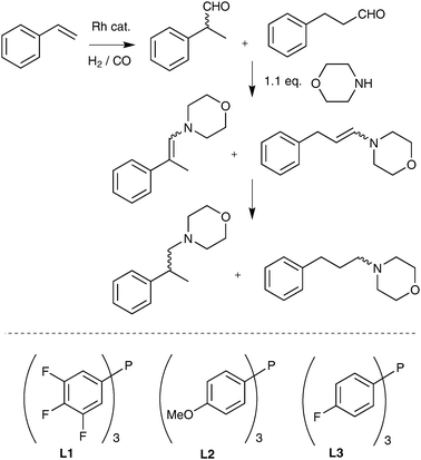 Products formed from a hydroaminomethylation of styrene and morpholine, and some of the ligands used in this study.