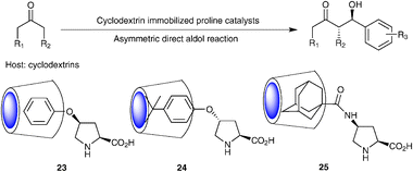 Cyclodextrins immobilized proline catalysts.