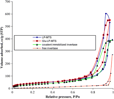 
            Nitrogen adsorption–desorption isotherms for LP-MTS, Glu-LP-MTS, covalent immobilized invertase and free invertase.