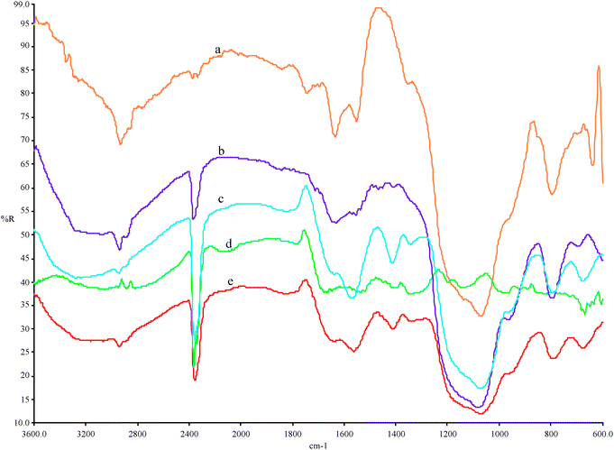 
            FTIR spectra for (a) Glu-LP-MTS, (b) LP-MTS, (c) covalent immobilized invertase, (d) Free invertase and (e) cross-linked invertase.