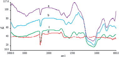 
            FTIR spectra for (a) Glu-DDA-MTS, (b) DDA-MTS, (c) covalent immobilized invertase, and (d) Free invertase.