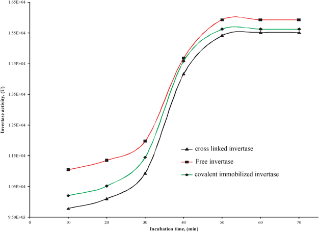 Effect of incubation time on activity of invertase enzymes on LP-MTS derivatives and free invertase.