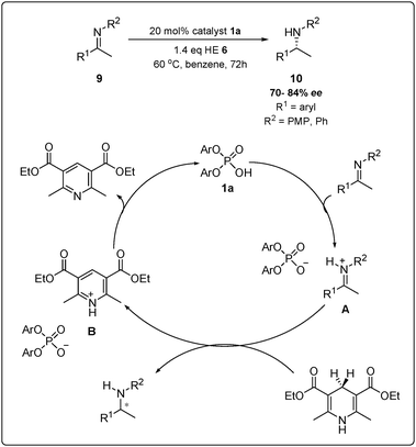 Rueping's organocatalytic reduction of imines and the proposed mechanism.