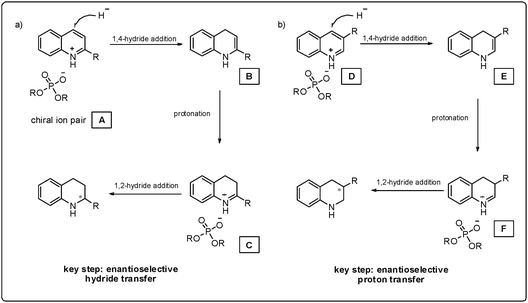 Proposed mechanism for the asymmetric transfer hydrogenation of quinolines using chiral phosphoric acids.