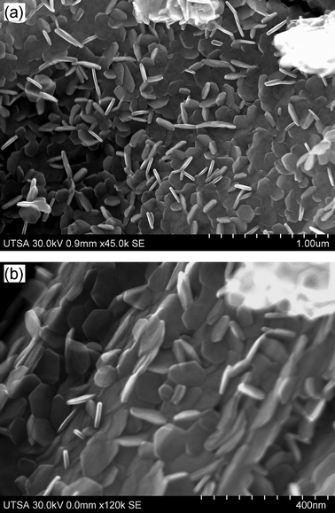 
            SEM micrographs of the MoS2 plates synthesized and annealed at: (a) 700 °C–900 °C; (b) 700 °C–1000 °C. These samples had the highest amount of plates.
