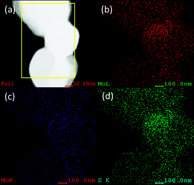 (a) EDX mapping of the MoS2 plates (b) showing the characteristic Mo(L), (c) Mo(K) and (d) S(K). The ratio of Mo and S is found to be 1 : 2.