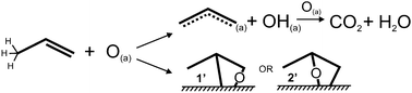 Schematic representation of the reactions of propene with adsorbed atomic oxygen on Au(111): allylic hydrogen abstraction to form allyl and hydroxyl (top) and oxygen insertion to form either a primary (1′) or secondary (2′) oxametallacycle (bottom). The reactive allylic hydrogens are drawn on propene.