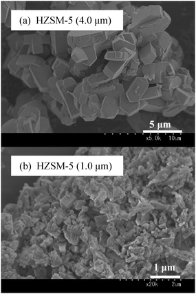 
            FESEM images of the zeolite samples.