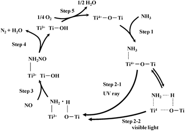 Reaction mechanism of photo-SCR with NH3 over TiO2.