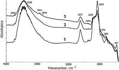 
            FTIR spectra of Fe-MCM-41s catalysts, containing 2.0 (1), 3.3 (2) and 6.3 (3) wt% Fe.