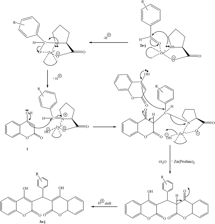 Plausible mechanism for the synthesis of dicoumarols (3a–j).