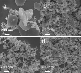 
            FESEM images of sample Zn0.5Cd0.5S synthesized with different reaction times, (a) 2 h, (b) 6 h, (c) 12 h, (d) 48 h.