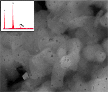 SEM morphological study of Pd–I catalyst (× 20 000 times magnification), and the SEM-EDS detector graph (above crop image).