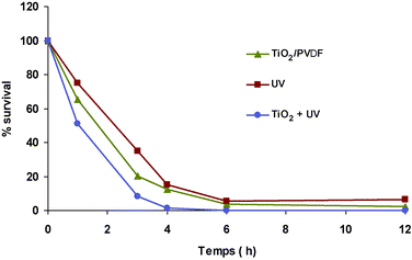 Effect of TiO2/PVDF, TiO2/SiO2, UV, only TiO2 and the TiO2 to the darkness on the destruction of E. coli of 107 C mL−1 in the presence of a 2.5 g L−1 sample of membrane of 0.5 TiO2/PVDF ratio at different irradiation times.