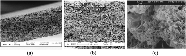 
            SEM images of the sections of the PVDF membranes (a) without and (b) and (c) with TiO2 particles at 2000× and 12 800× magnification factors.