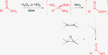 Epoxidation of olefins with H2O2 and amides.143,144