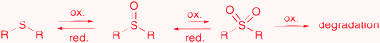 Reductive and oxidative transformation of sulfoxides.71–73