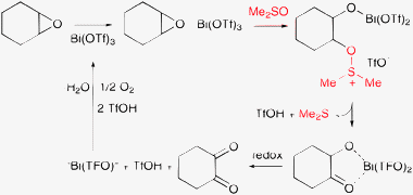 Bismuth-catalyzed oxidation of internal epoxides to α-diketones in DMSO (Me2SO) with molecular oxygen, at 100 °C and 1 bar.88