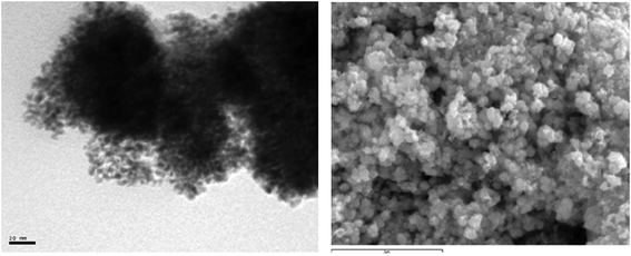 
          TEM (left) and SEM (right) images of the agglomerated nanoparticles isolated from the catalytic reaction described in entry 1 of Table 1.