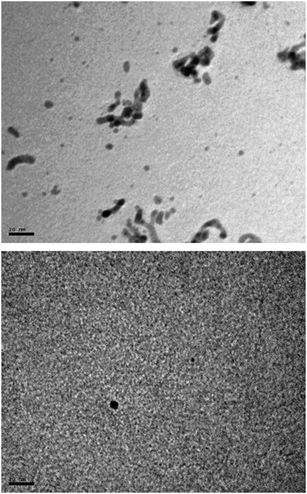 
          TEM images of the sample taken from the reaction medium when the turbidity begins to appear (the sample corresponds to the reaction denoted as (c) in Fig. 6).