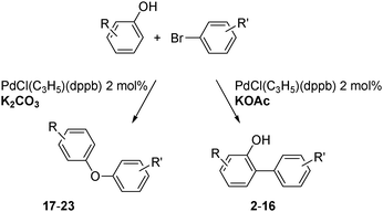 
          Palladium-catalysed C- or O-arylation of phenols.