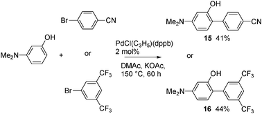 
          Palladium-catalysed direct arylation of 3-dimethylaminophenol.