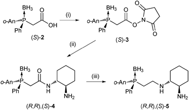 Synthesis of a P-chiral P,N,N-type ligand. Reagents and conditions: (i) N-hydroxysuccinimide (2 eq.), DCC (2 eq.), CH2Cl2, r.t., 3 h (71%); (ii) (1R,2R)-diaminocyclohexane (2.5 eq.), CH2Cl2, r.t., 3 h (64%); (iii) BH3·THF (10 eq.), THF, 0 °C to r.t., 16 h.