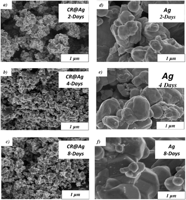 The effect of aging time during synthesis on the morphology of CR@Ag (a,b,c) and of Ag (d,e,f): (a,d) 2-days aging; (b,e) 4-days; (c,f) 8-days.